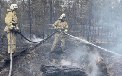Абай облысында орман өрті оқшауланды - ТЖМ