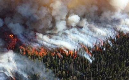 "Өрт сөндірушілерді өлімге өздері жіберді" - Смағұлов жағдайды жемқорлықпен байланыстырды