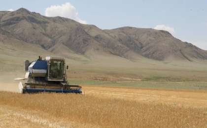 Жетісу облысында 327 мың га жайылымдық жер айналымға енді