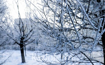 Қазақстанда -38 градусқа дейін аяз болады