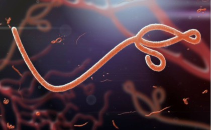 Адамзатқа жаңа эболавирус қауіп төндіреді - ғалымдар