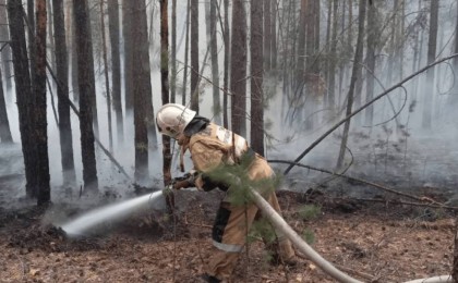 Абай облысындағы өрт: қаза тапқан орманшылардың отбасына қандай көмек көрсетіледі