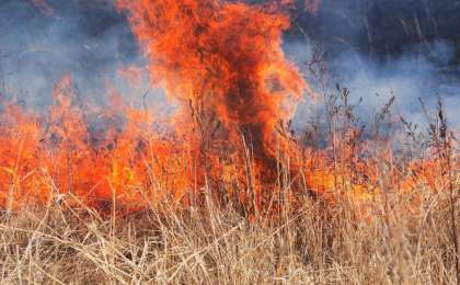 Қызылордада қураған шөп өртеніп, қаланың бірқатар бөлігін түтін басты