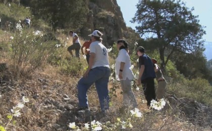 Түркістан облысында адасып кеткен үш турист туралы тың дерек шықты