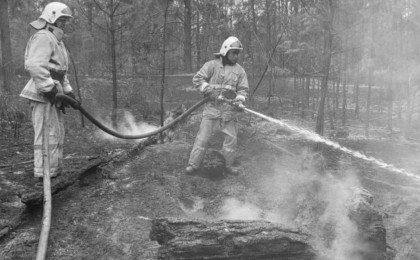 Қолдан қойылған өртке ұқсайды - куәгер сөндірілген от ошақтарын бейнежазбаға түсіріп алған (видео)