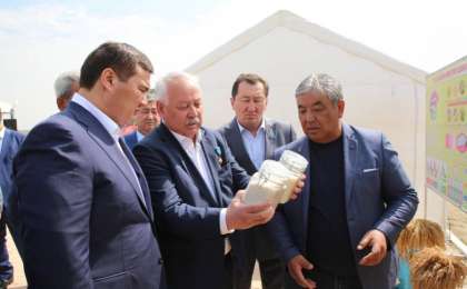 Егін даласына алғашқы дән себілді