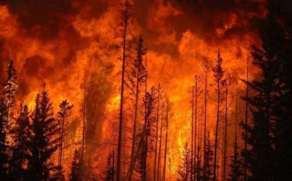 Абай облысындағы өртте 3 адам қаза тапты, 11 адам жоғалып кетті