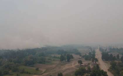 Семейдегі орман өртінен 3 адам қаза тауып, 11 адам іздестірілуде