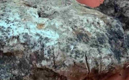 Балықшылар балықтың ішінен бағасы $1,5 млн болатын құнды зат тауып алды