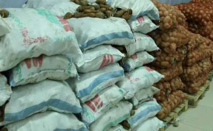 Алматыда зиянды бактериясы бар картоп пен сәбіз анықталды