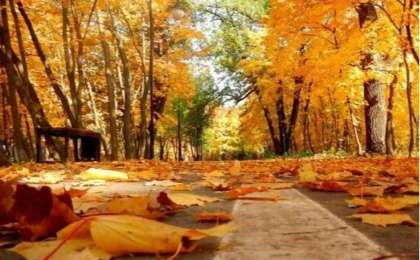 Қазақстанда күз қашанға дейін жылы болып тұрады?