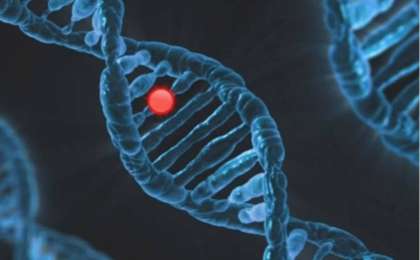 “Туыстық некеден” - Өзбекстанда балалардан ондаған жаңа гендік мутация анықталды