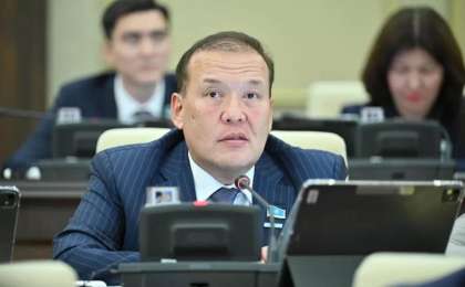 31 қызметкері бар компания тоғыз қабатты 9 үй салған – депутат    