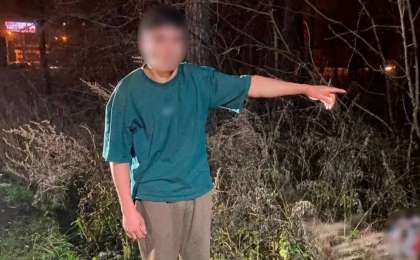 17 жастағы қасапшы жігіт өз анасының басын кесіп, жерге көміп тастады