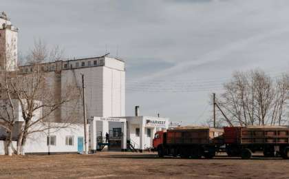 Harvest қиырдағы ұмыт қалған Ащыкөл ауылына қайта жан бітірді