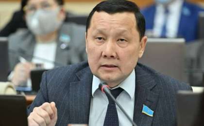 "Тоқалдықты заңдастыру қажет". Депутаттың пікірі желіде тарады