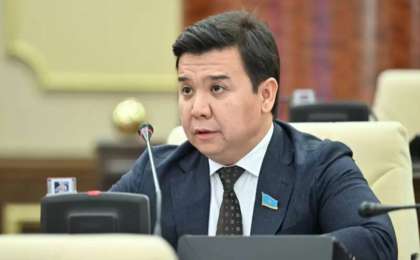 "Ол - менің ұлым, мен оны жасырған емеспін" - депутат желідегі айыптар туралы