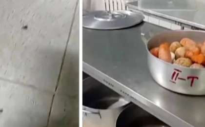 “Ботқадан жәндіктер шыққан”: Балабақшада өріп жүрген жәндіктер жаға ұстатты