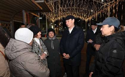 Дархан Сатыбалды жаңа шағынаудандардағы қасбеттік жарықтандыру жұмыстарымен танысты