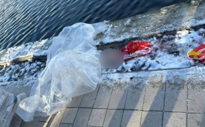 Тоғаннан сөмкеге салынған баланың басы табылды