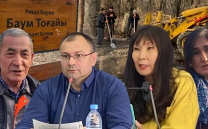 «10 мың ағаш отала ма?». Алматыдағы «Баум тоғайының» тағдыры қалай болмақ?