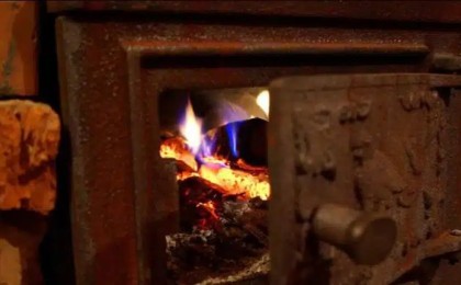 Cарыағашта бір отбасының 7 адамы уланып  қалды