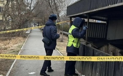 Кентауда қоқыс контейнерінен жаңа туған сәбидің денесі табылды