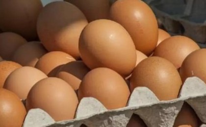 Қазақстан жұмыртқа импортын бір айға тоқтатты