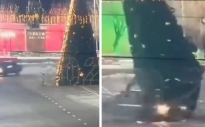 Түркістан облысында жүргізуші бас шыршаны құлатып кетті