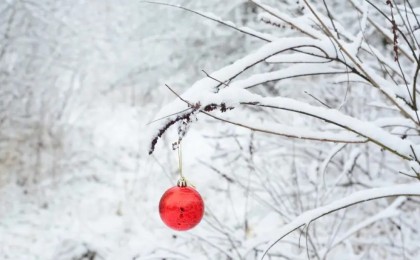 Қазақстанда Жаңа жылда күн 15 градусқа дейін жылынады