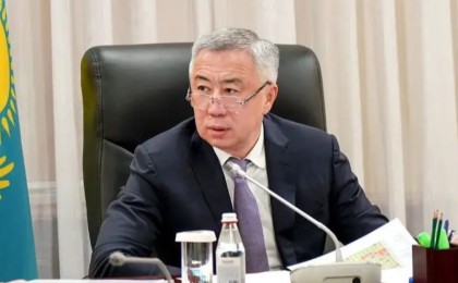 Экономика министрінің әйелі бір жылда 88 миллион қаржы тапқан