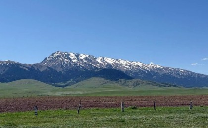 Қазақстанда тегін жер учаскелері беріледі: алу үшін не істеу керек?