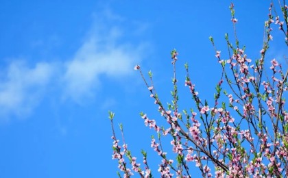 Қазақстанда алдағы үш күнде 32 градусқа дейін ыстық болады