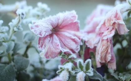 −6°C дейін үсік, бұршақ, жаңбыр, дауыл: 11 мамырға ауа райы болжамы