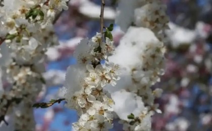 Қазақстанда алдағы үш күнде 35 градусқа дейін ысиды