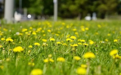 Маусымға ауа райы болжамы жарияланды