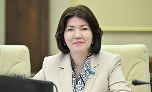 "Жаңа оқу жылынан бастап енеді": Жұлдыз Сүлейменова маңызды мәлімдеме жасады