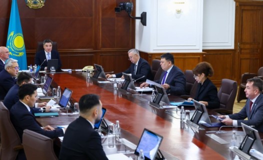 Үкімет келесі жылы 12 заң жобасын әзірлейді