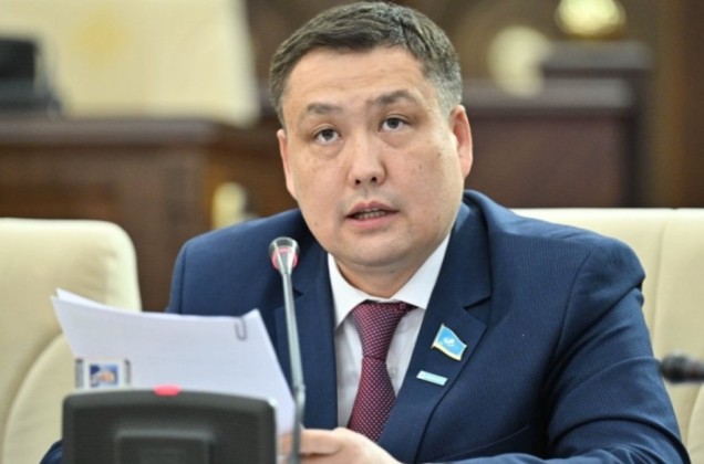 “Мұғалімдер кінәлі”: Депутат әскердегі әлімжеттік кінәлілердің кім екенін айтты