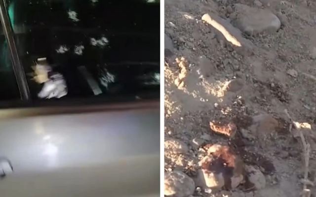 Алматы облысында әкесі мен ұлы тұрғындарға оқ атты деген күдікке ілінді