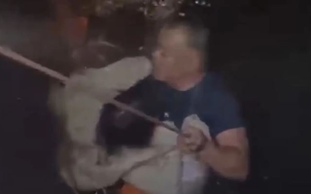 Арқалықта көпір үстінде тұрған жасөспірім қыз бала мұздай суға құлап кетті (ВИДЕО)