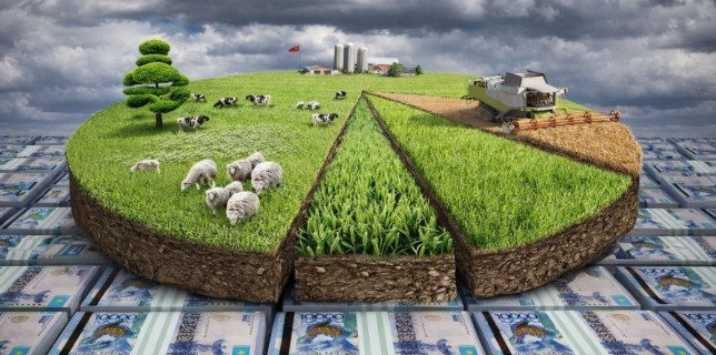 Сонымен, субсидия... Біз көтерген мәселеге АШМ не дейді?