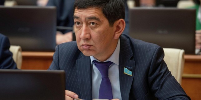 Депутат желіде жазған пікірі үшін сотталғандарға рақымшылық жасауды ұсынды