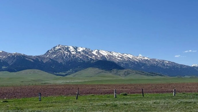 Қазақстанда тегін жер учаскелері беріледі: алу үшін не істеу керек?