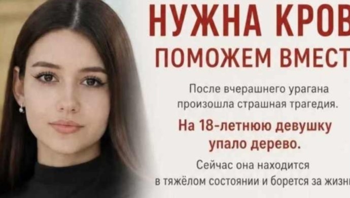 Үстіне ағаш құлаған 18 жасар бойжеткеннің жағдайы ауыр екені белгілі болды