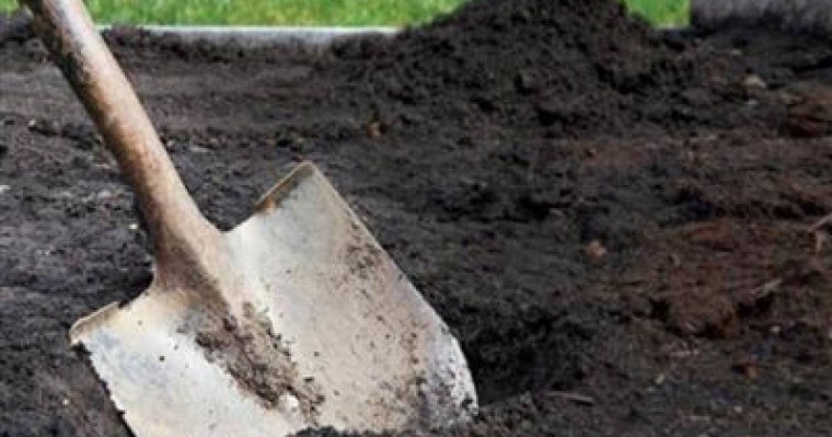 Шымкентте жас келіншекті тірідей көміп тастаған