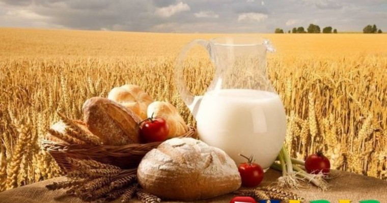 Шашқа арналған маскалар