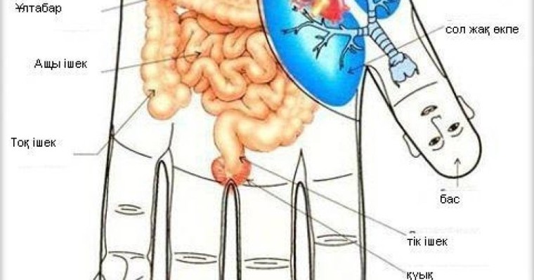 АЛАҚАНЫМЫЗҒА НҮКТЕЛІК МАССАЖ ЖАСАЙЫК