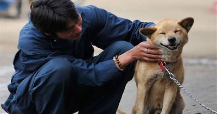 Кәрістер ит етін жеуді күрт азайтты