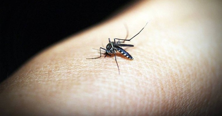 Аяғын маса шаққан жігіт жантүршігерлік дертке шалдықты